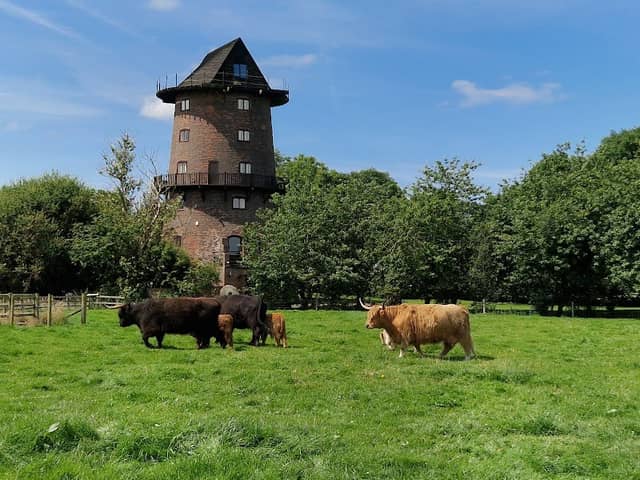 Windmill Animal Farm - Image 2