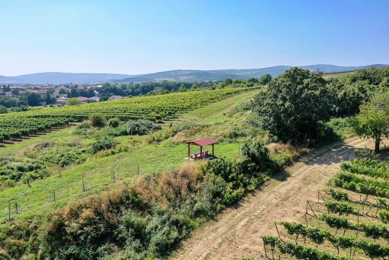 Rozhľadňa Vinosady - Image 1