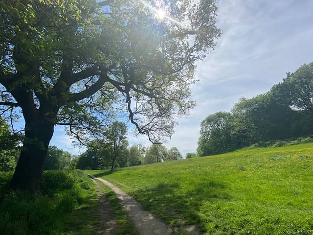 Priory Park - Image 1