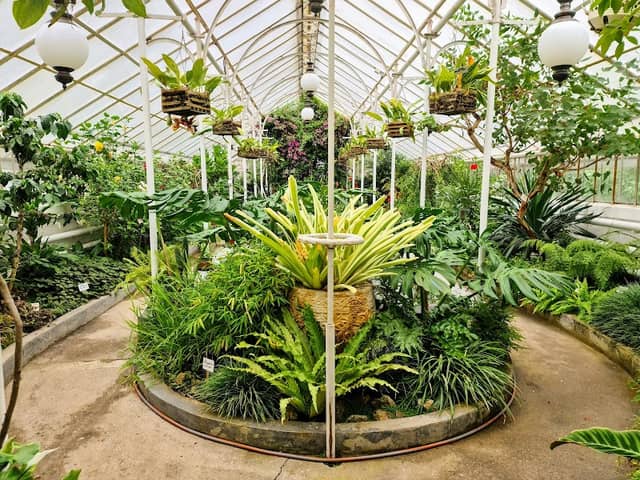 botanical Conservatory - Image 1
