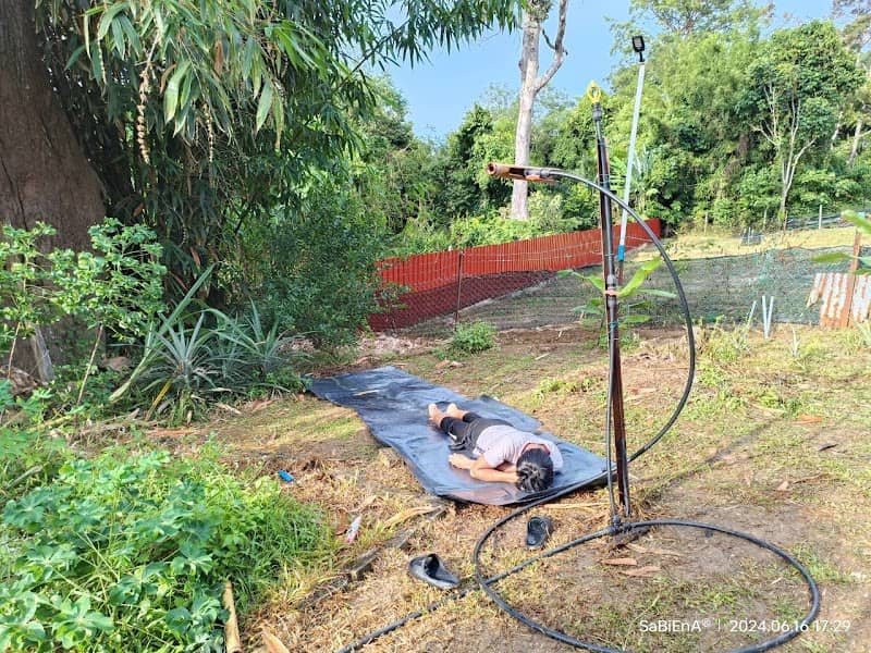 Kebun Tok Teh - Image 1