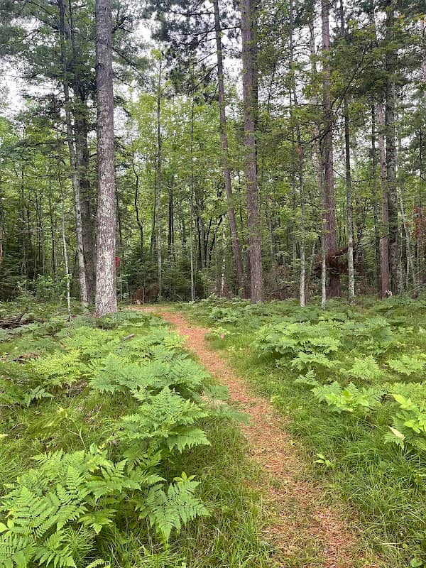 Sylvan Point Trailhead - Image 2