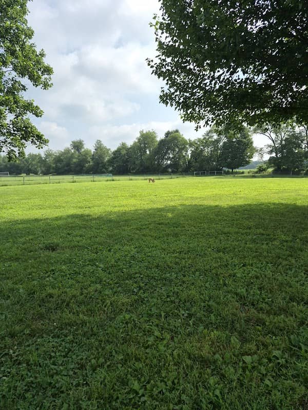 Gambier Dog Park - Image 1
