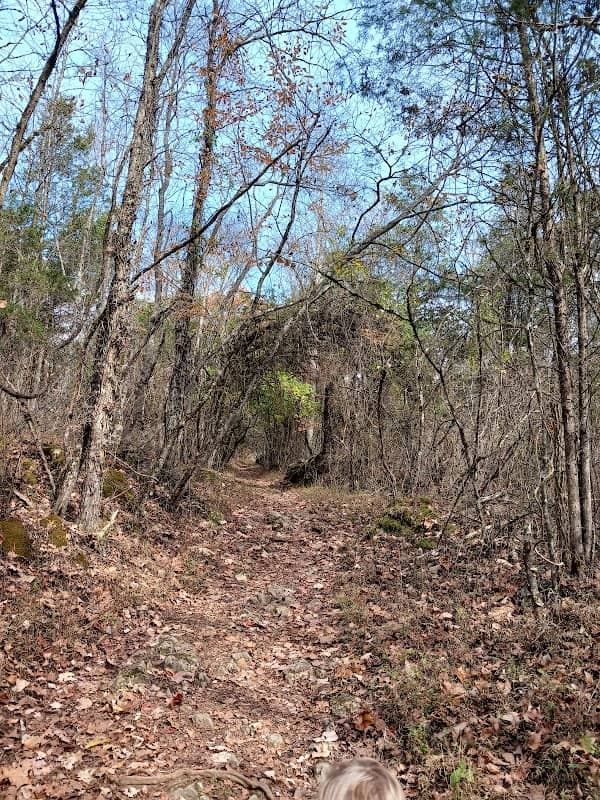 Falls Creek Loop Parking, Warrior’s Path State Park - Image 1