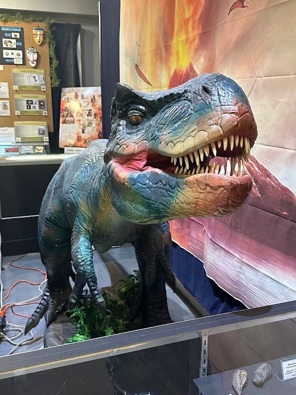 The Palm Beach Museum of Natural History - Image 2