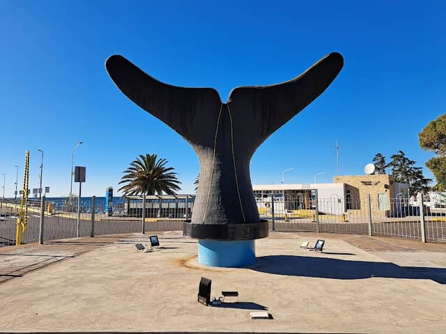 Monumento a la Ballena Austral - Image 1