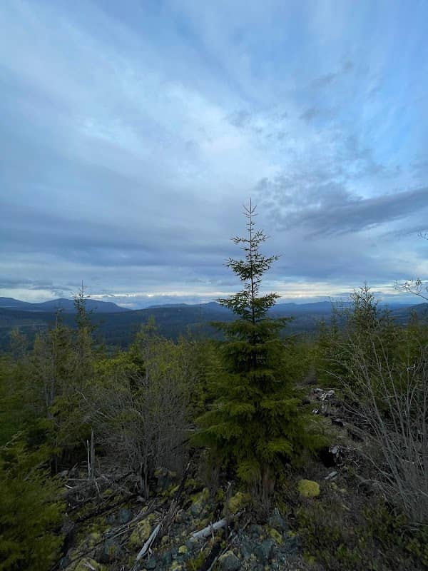 Mt Emily - Image 1