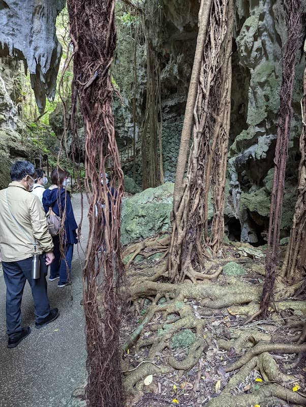Ōnushi Gajumaru Banyan - Image 3