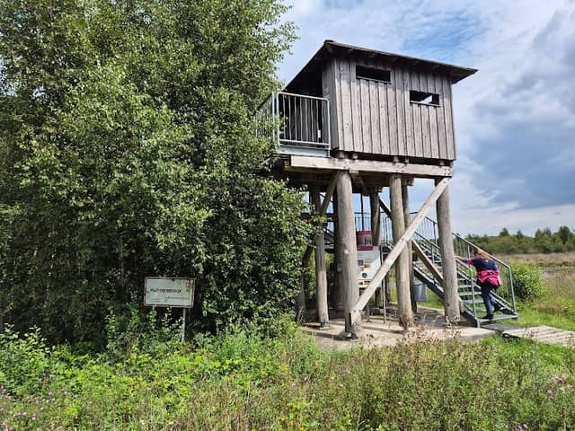 Aussichtsturm Hahnenmoor - Image 2