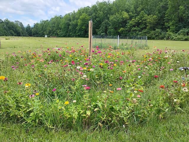 Good Food Farm - Image 1
