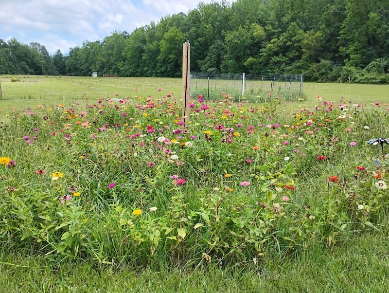 Good Food Farm - Image 2