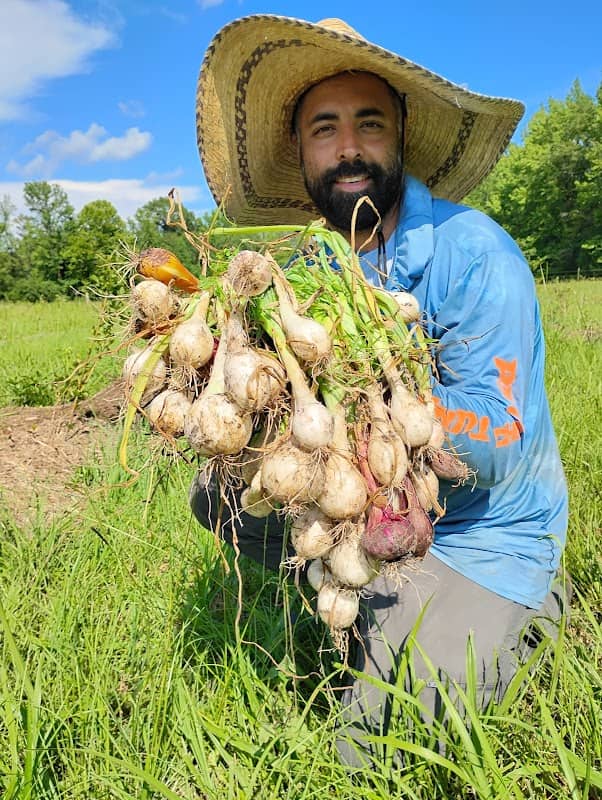 Good Food Farm - Image 1