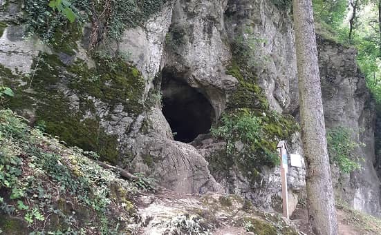 Opatovská jaskyňa (Jaskyňa nad cestou) - Image 2