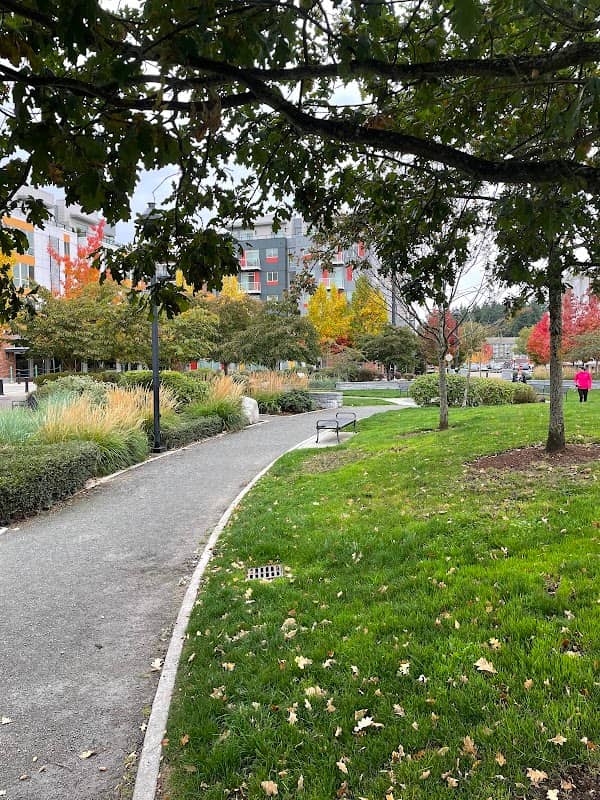 Town Square Park - Image 1