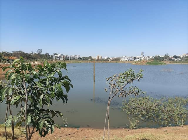 Dodda Kammasandra Kere - Image 1