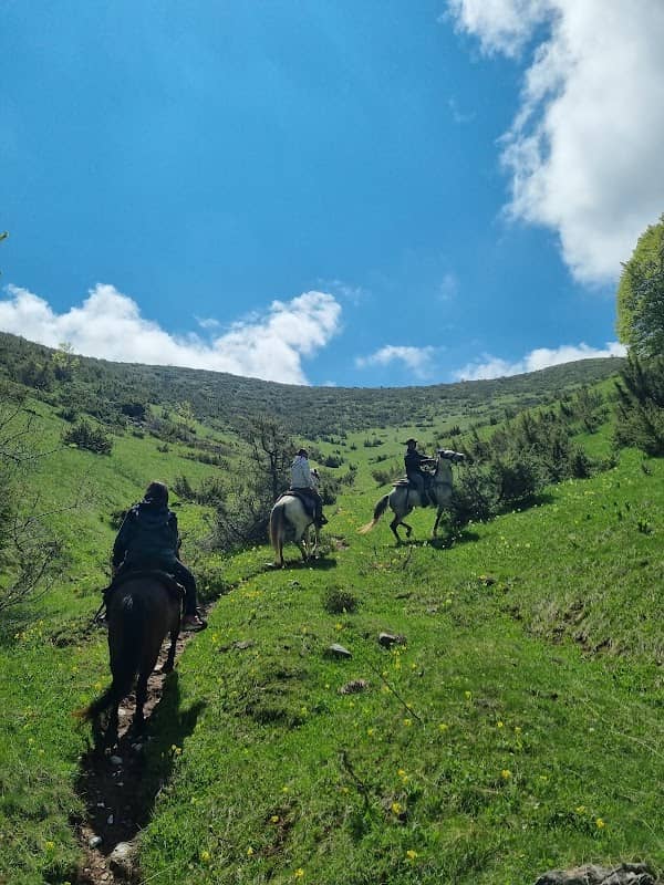 Sherpa Horse Riding - Image 2