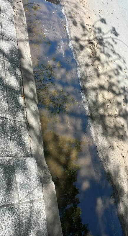 El permacharco - Image 1
