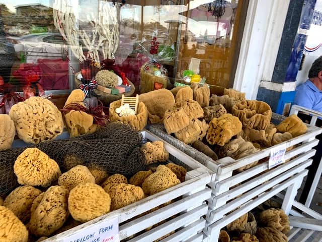 Tarpon Springs Sponge Docks - Image 3