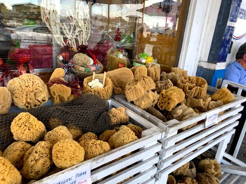 Tarpon Springs Sponge Docks - Image 3
