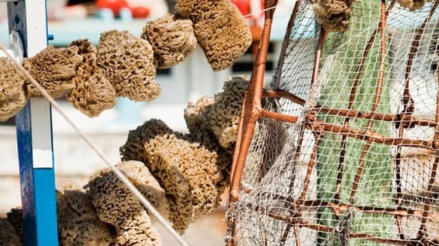Tarpon Springs Sponge Docks - Image 2