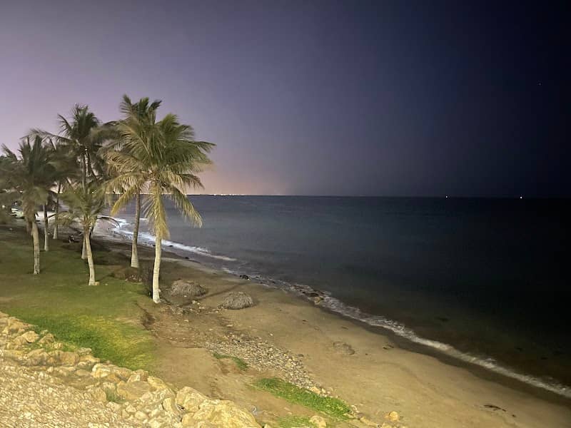 Mangrove Beach - Image 1