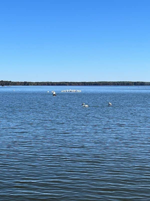 Reelfoot Lake State Park--Keystone Pocket - Image 1