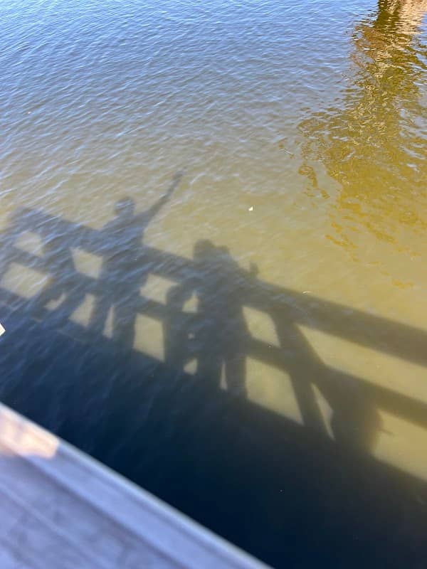 Reelfoot Lake State Park--Keystone Pocket - Image 3
