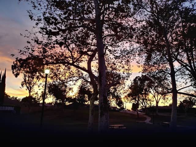 Parque De Los Vaqueros - Image 3