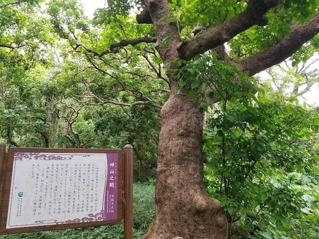 Kamiyama’s Place - Image 1