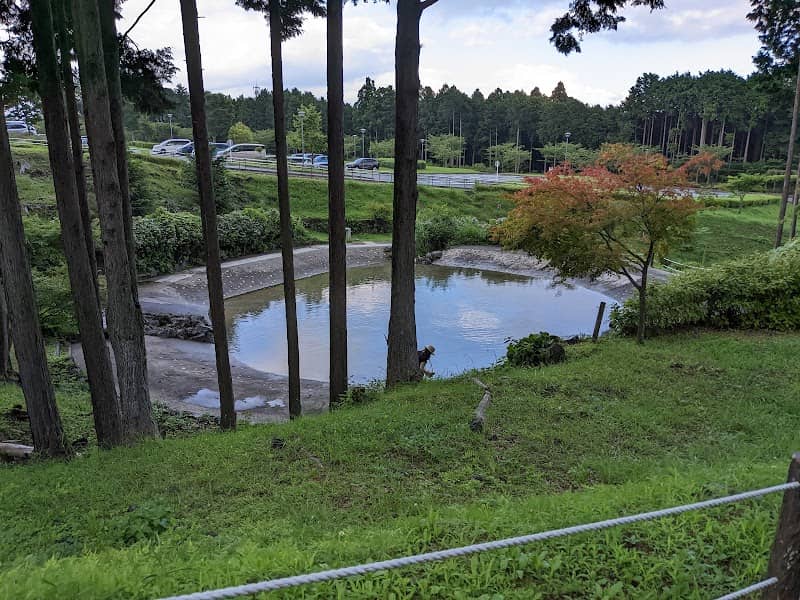 みずの広場 - Image 2