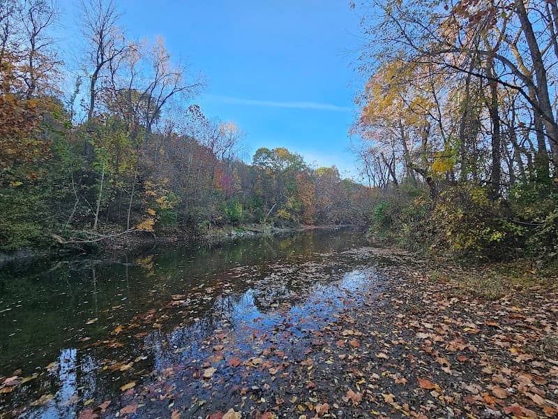 Forry Preserve - Image 2