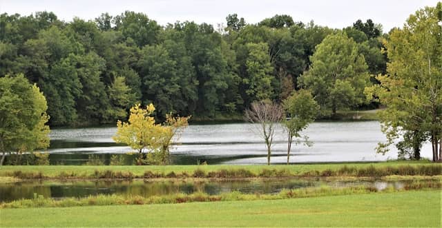 Rob Wallace Park - Image 2