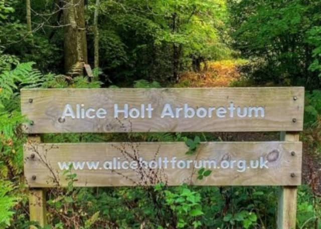 Alice Holt Forest Arboretum - Image 2