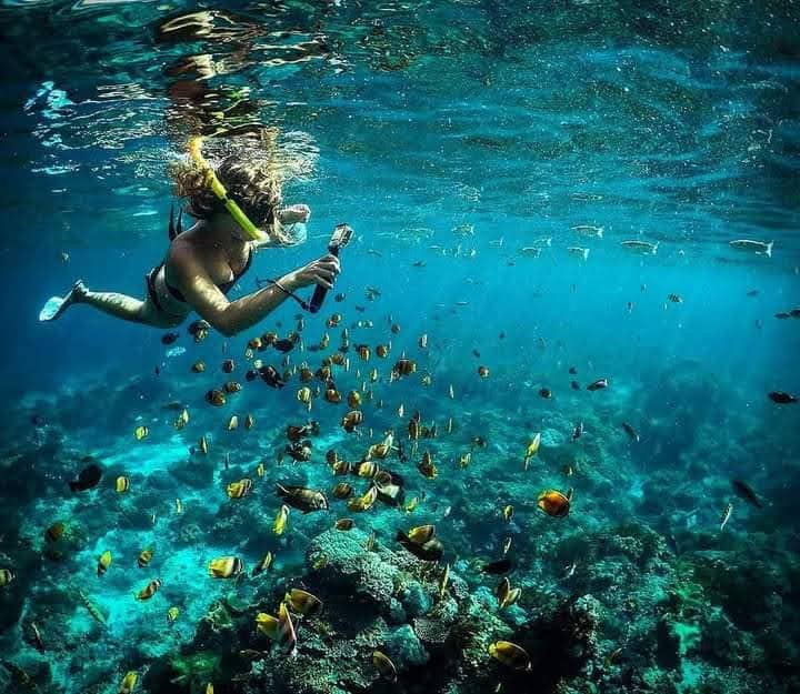 The Wall (snorkeling place) - Image 1