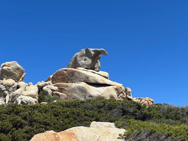 La Tartaruga - Image 1