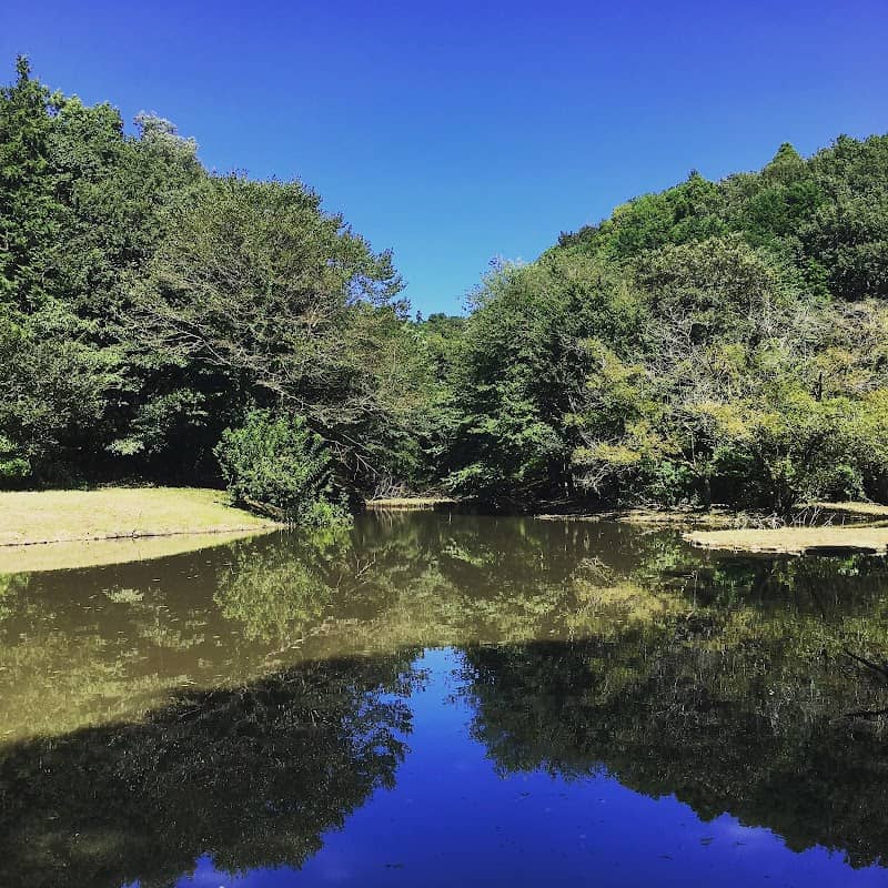Zama Yatoyama Park - Image 2