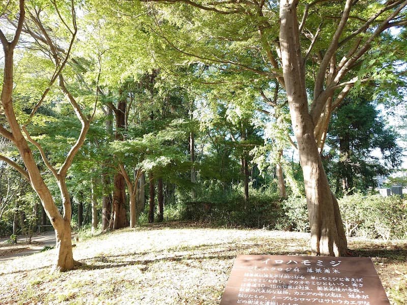 Zama Yatoyama Park - Image 1