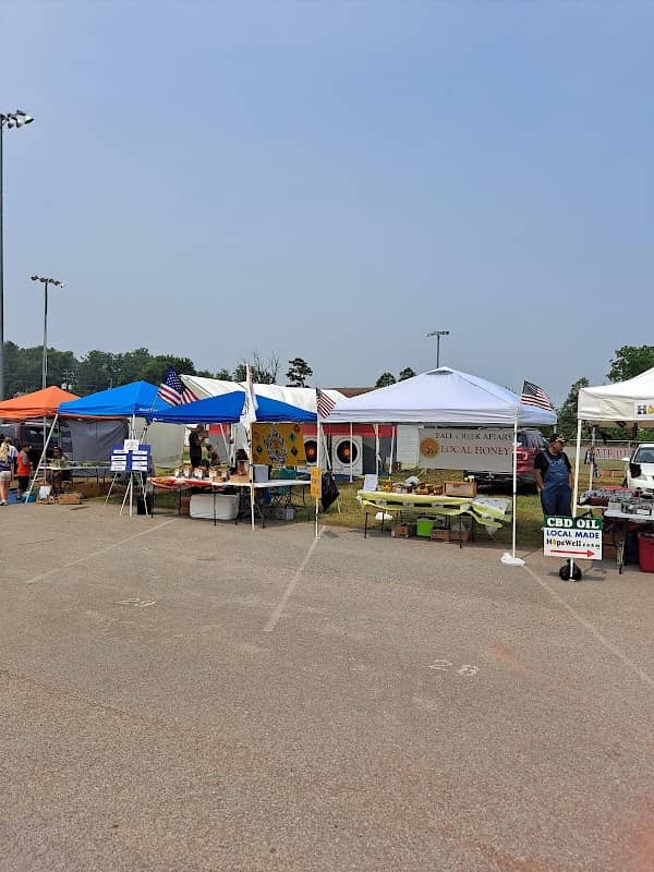 Wilson Park - Image 2
