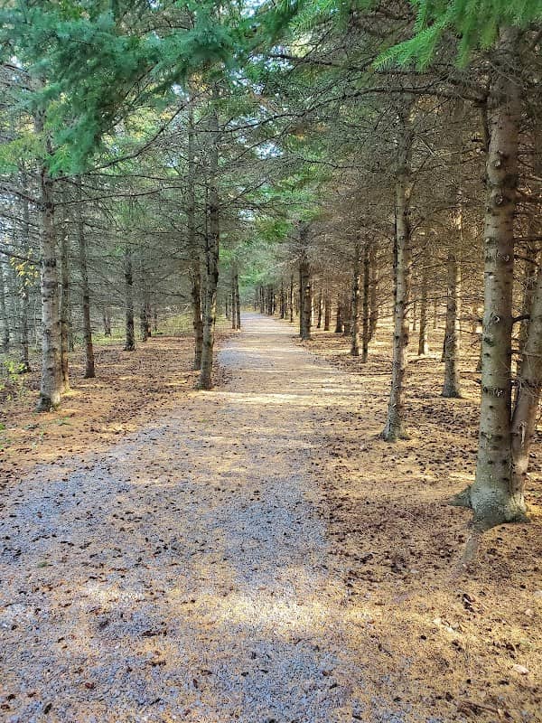 Crysler Trail - Image 1