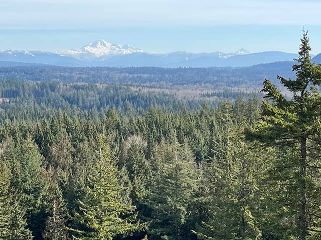Viewpoint Lookout via Mike Lake Trail - Image 3