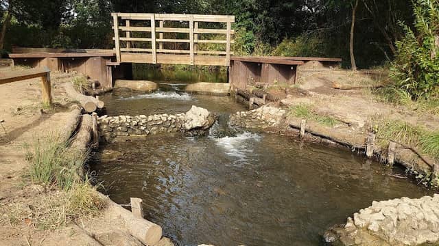 Buxford Fish Pass - Image 2