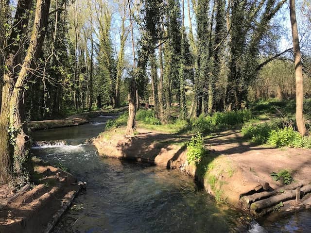 Buxford Fish Pass - Image 1