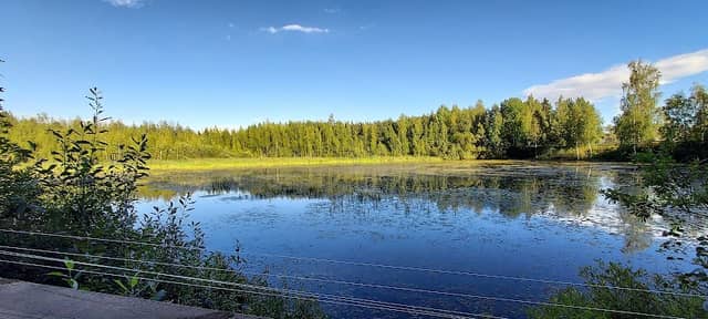 Luhtapuisto Nature Path and Hiking Trail - Image 1