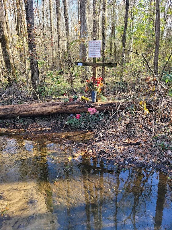 God's Acre Healing Springs - Image 2
