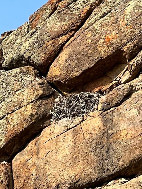 Eagle Rock - Image 2