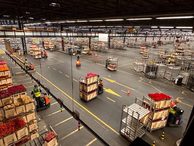 Aalsmeer Flower Auction - Image 3