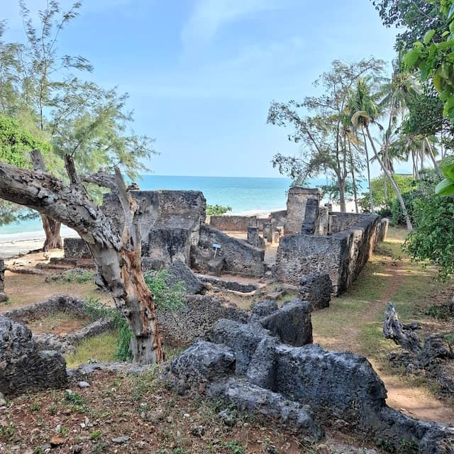 OldTown:,Squirrel🐿🐿Tourswalks🦶🏾🇰🇪⚓ - Image 3