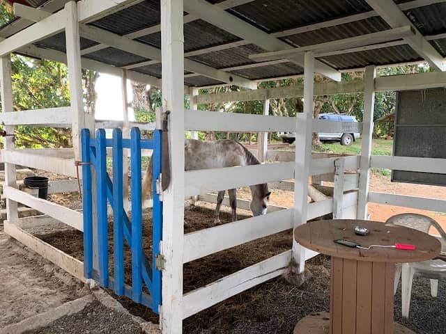 Parador fotográfico San Juan Grande - Image 1