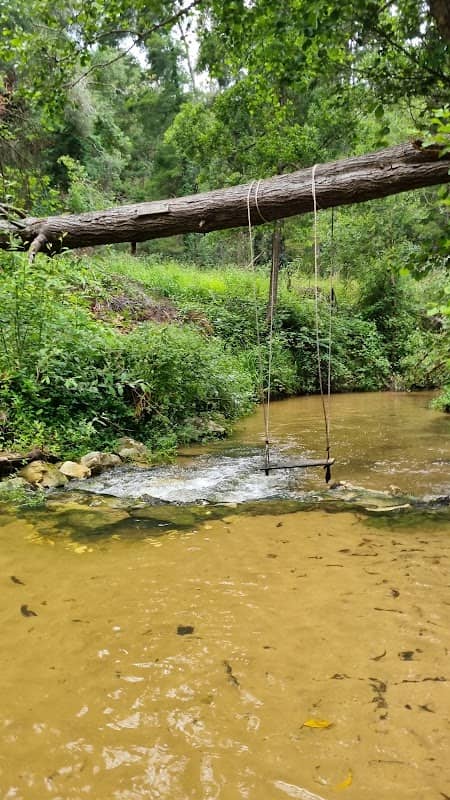 Baloiço da Ponte Nova - Image 1