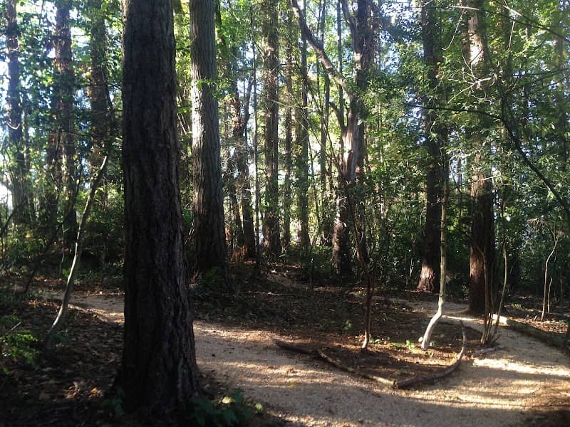 Soundview Forest Park - Image 2